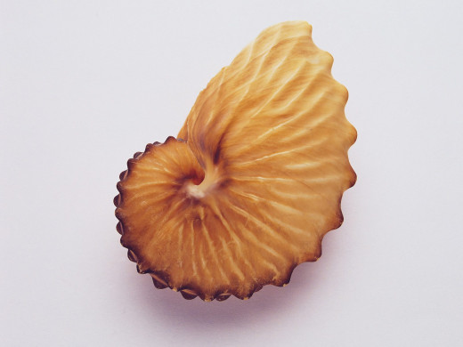 399251 (a): :1600x1200
